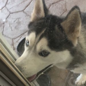 Meet your Posher, Raul